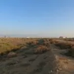 100 SQUARE YARDS COMMERCIAL PLOT FOR SALE PENINSULA COMMERCIAL, LANE 1, DHA PHASE VIII, KARACHI LC-01 JA-01